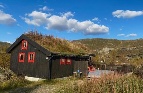 Vinje Casa | Haukeli Mountain Cabin