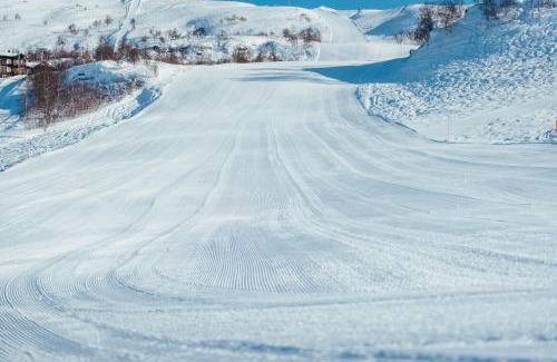 Vinje Apartamento | Haukelifjell Skisenter