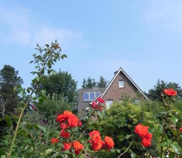 Suddorf Apartamento | Haus *Üüs Aran* Wohnung Nr. 7