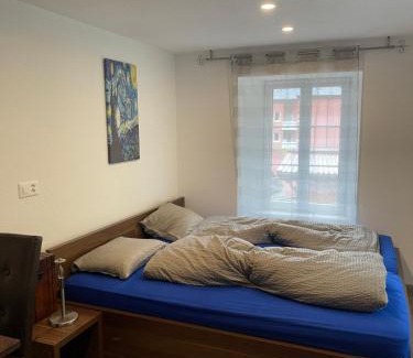 Wassen Apartamento | Haus Alpenhof