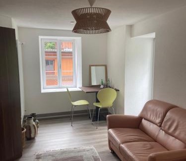 Wassen Apartamento | Haus Alpenhof