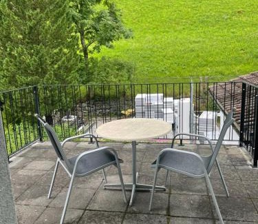 Wassen Apartamento | Haus Alpenhof