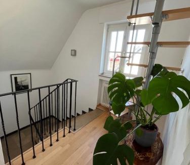 Erkrath Apartamento | Haus am Mühlenstein in der Nähe vom Unterbacher See