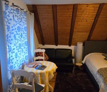 St. Blasien Apartamento | Haus am Scheibenfelsen