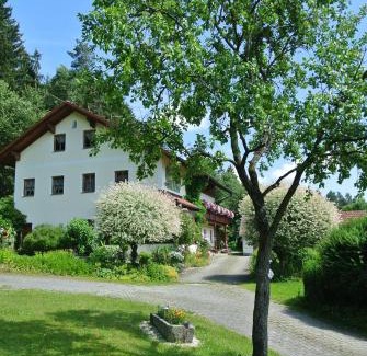 Grafenau Apartamento | Haus Am Waldrand - Ferienwohnung Augustin