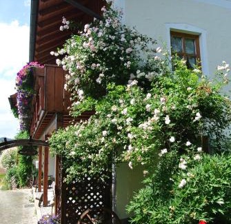 Grafenau Apartamento | Haus Am Waldrand - Ferienwohnung Augustin