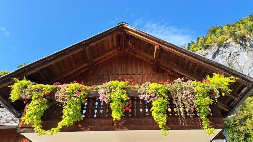 Goessl Apartamento | Haus Annerl