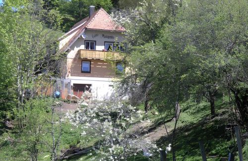 Triberg im Schwarzwald Casa | Haus Antonis