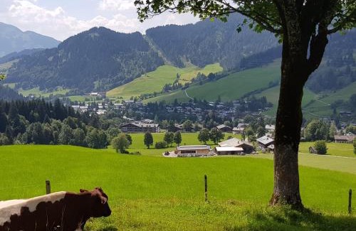 Hinterthal Apartamento | Haus Sonnleiten