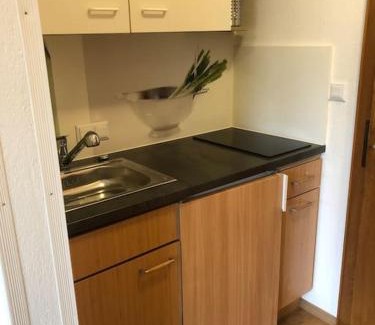 Obsteig Apartamento | Haus Bergfriede 4