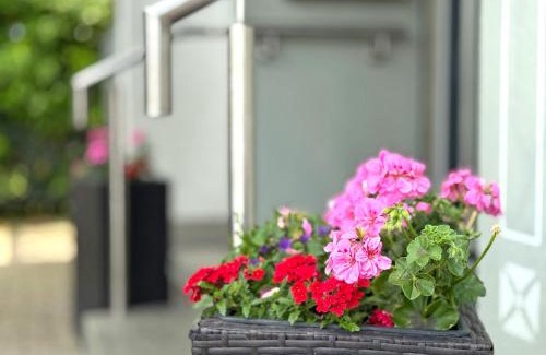 Langenargen Apartamento | Haus Bernhardt