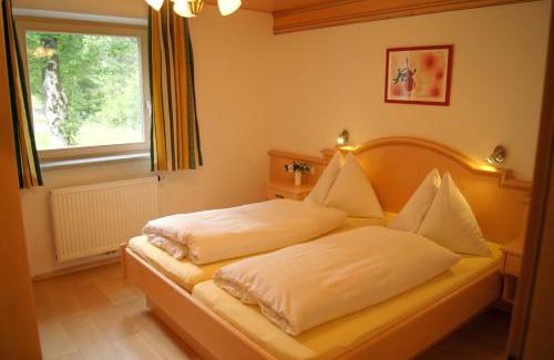 Filzmoos Apartamento | Haus Dachstein