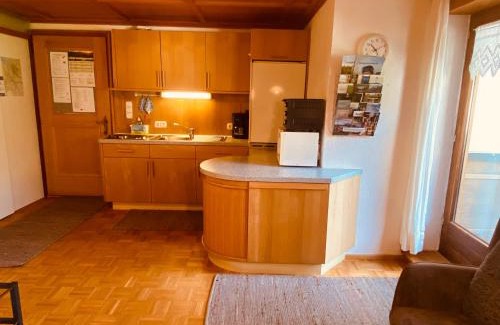 Schoppernau Apartamento | Haus Diedams