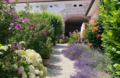 Morbisch am See Apartamento | Haus Diogenes