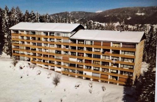Treffen Apartamento | Haus Enzian - Apartment Gerlitzen