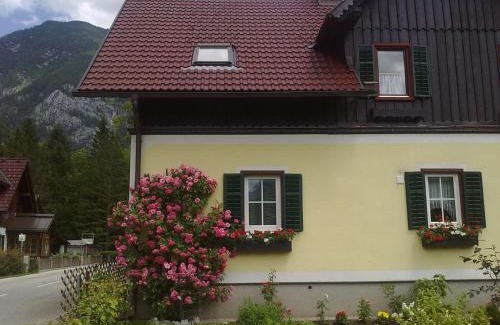 Obertraun Apartamento | Haus Fratnik