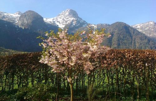 Obertraun Apartamento | Haus Fratnik