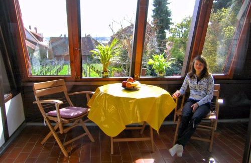 Hagnau Apartamento | Haus Gnädinger