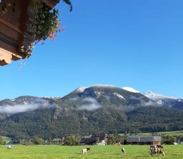 Abersee Apartamento | Haus Heimatblick