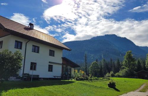 Gosau Apartamento | Haus im Grünen