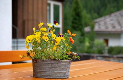 Solda Apartamento | Haus Lena