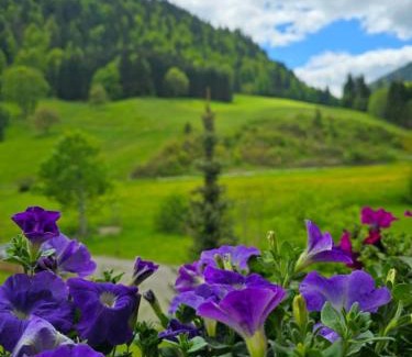 Unterjoch Casa | Haus Luise