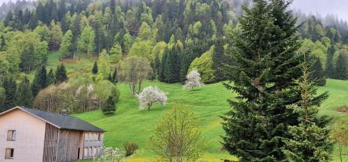 Unterjoch Casa | Haus Luise