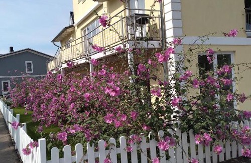 Dahme Apartamento | Haus Malve Dahme