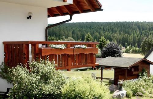 Schluchsee Apartamento | Haus Marianne Dörflinger