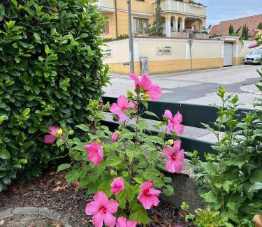Morbisch am See Casa | Haus Martin - Schneeberger
