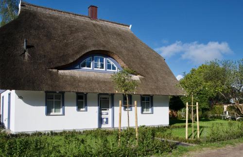 Born auf dem Darss Villa | Haus Meerblau