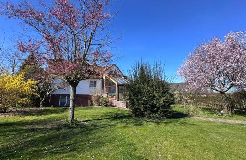 Bad Doberan Apartamento | Haus Ostseesprung - Fewo Valentina im Souterrain mit Terrasse und gem Garten