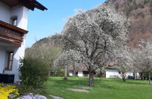 Marquartstein Apartamento | Haus Polleichtner