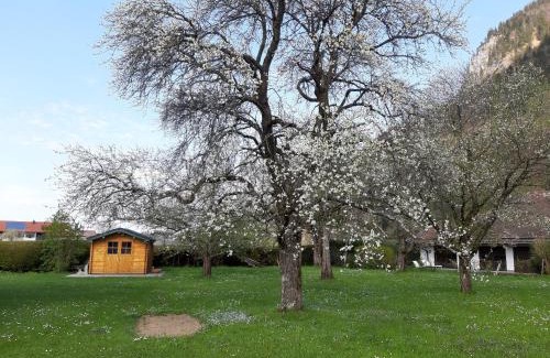 Marquartstein Apartamento | Haus Polleichtner