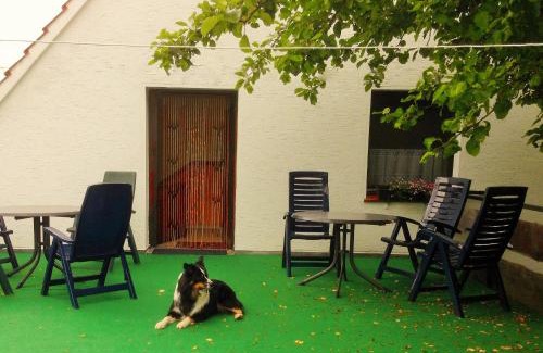Helminghausen Apartamento | Haus Rübezahl