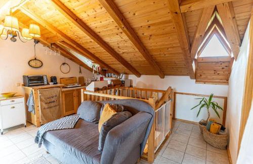 Embach Apartamento | Haus Riedmann