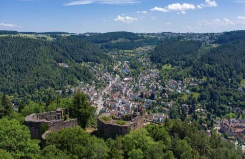 Schramberg Apartamento | Haus Schiltach