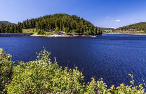 Schluchsee Apartamento | Haus Schluchseeblick
