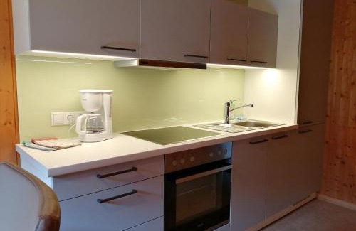 Silbertal Apartamento | Haus Silke