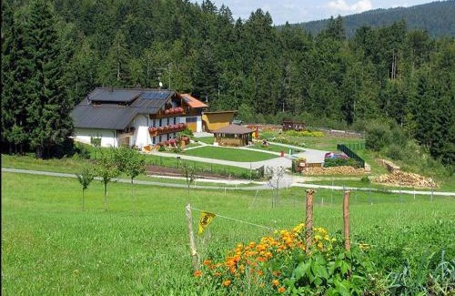 Neureichenau Apartamento | Haus-Spannbauer-Wohnung-Fuchsenstein