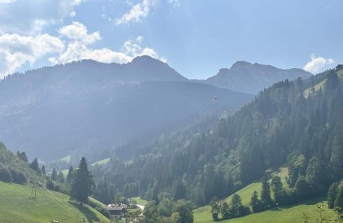 Wagrain Apartamento | Haus Steinacher