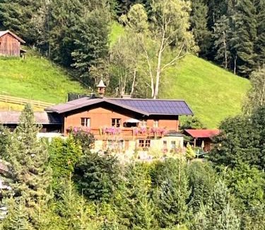 Wagrain Apartamento | Haus Steinacher