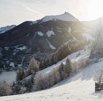 Bad Gastein Apartamento | Haus Talblick