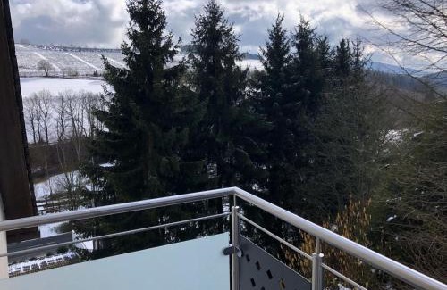 Wulmeringhausen Apartamento | Haus Trude