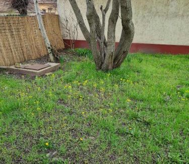 Orgovany Apartamento | Haus Ursula