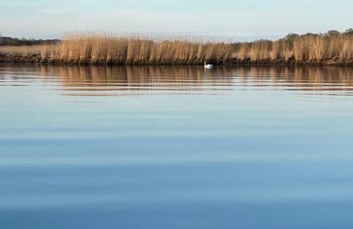 Gager Alquiler De Eote | Hausboot Captain Hook