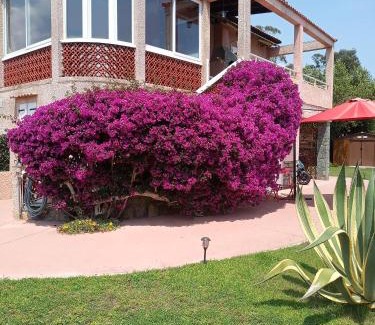 La Marana Apartamento | HAUT VILLA MESANGES EN BORD DE MER !