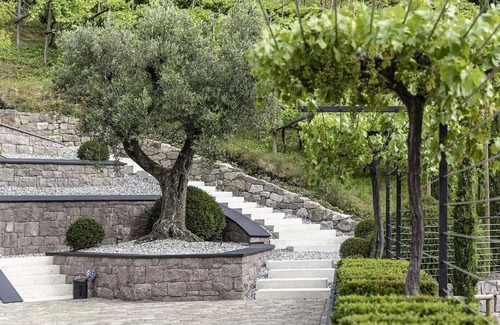 Merano Apartamento | ¿Siempre has soñado con vivir en una bodega?