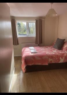 Margam Cama Y Desayuno | Haven of Trees - Hafan Y Coed