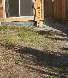 Roberts Creek Casa | Haven Touchstone